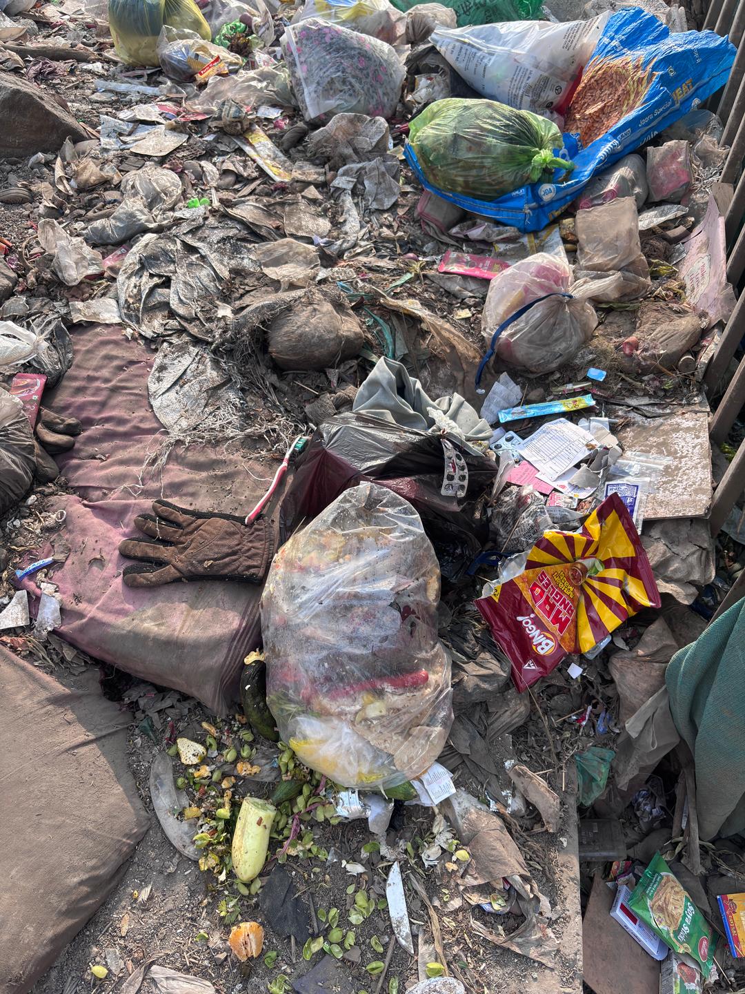 Clean Wagholi Mission